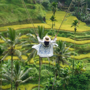 gvd-tegallalang-rice-terrace gvd-tegallalang-rice-terrace