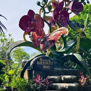 gvd-kemenuh-butterfly-park-bali gvd-kemenuh-butterfly-park-bali