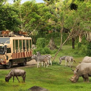 gvd-Bali-Safari-Marine-Park-1 gvd-Bali-Safari-Marine-Park-1