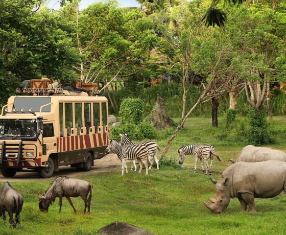 gvd-Bali-Safari-Marine-Park-1