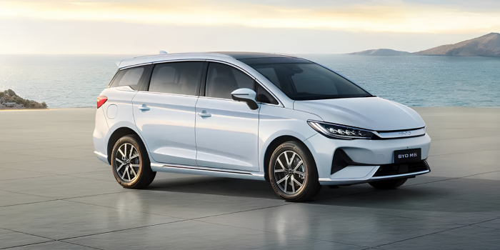 gvd_byd_m6_003